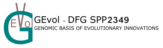 GEvol –  DFG SPP 2349